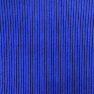 Bleu électrique
